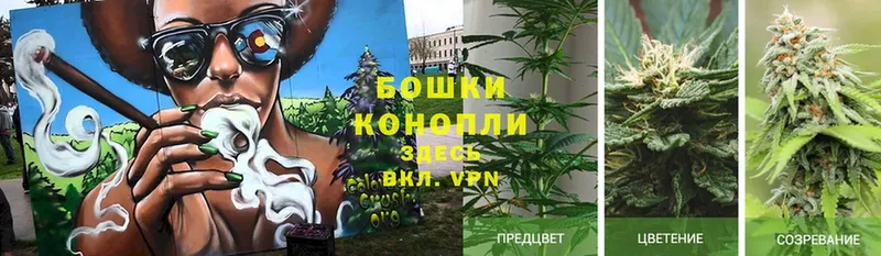 Марихуана Ganja  Зубцов 